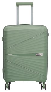 Beagles Travel 25138 S Natural green