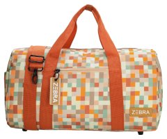 Zebra Trends Explorer 25574 Pixels