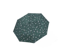 Derby Mini Edelweiss
