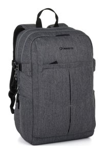 Bagmaster LION 25 B Grey