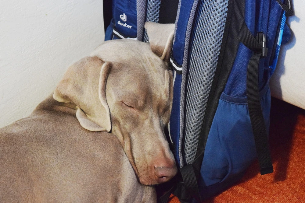 Deuter Graduate