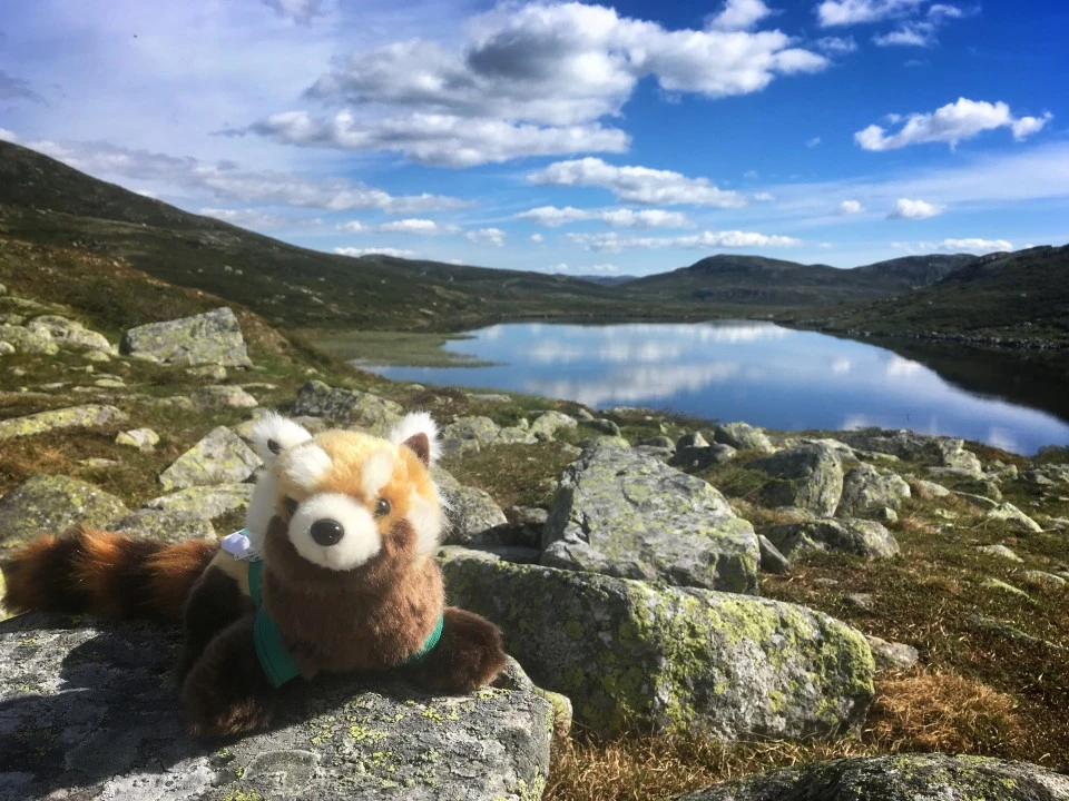Αποστολή Norway - τοπίο